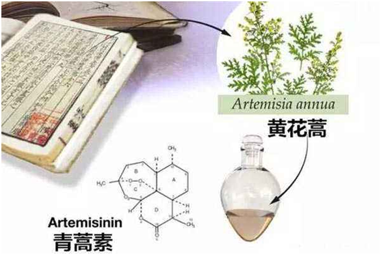 huati华体平台（中国）集团,：向中医药看齐，与世界共享中医药文化(图1)